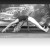 Индивидуальное занятие (Айенгара/цигун/ Yoga YWSAS) Онлайн