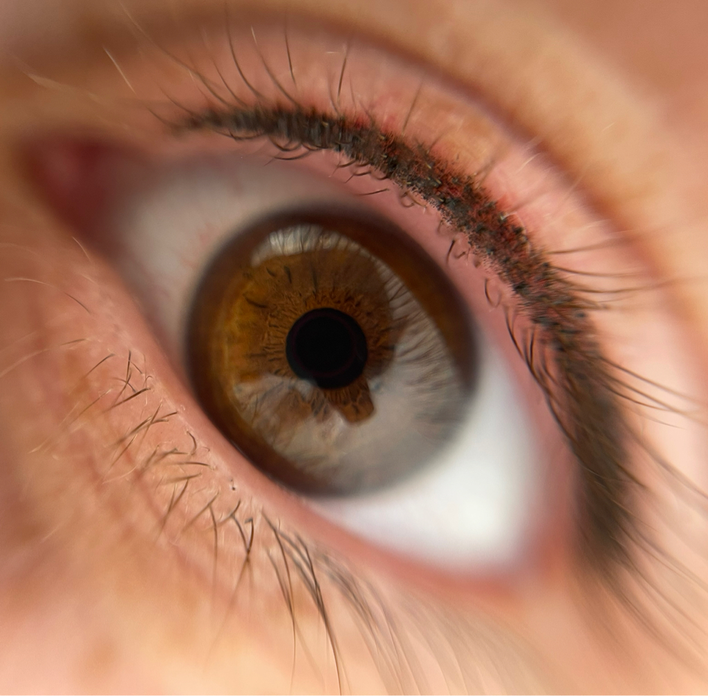 ПМ межресничка (коррекция/обновление цвета)