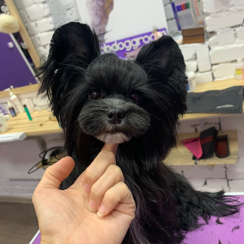 Биро йорк гигиенический уход