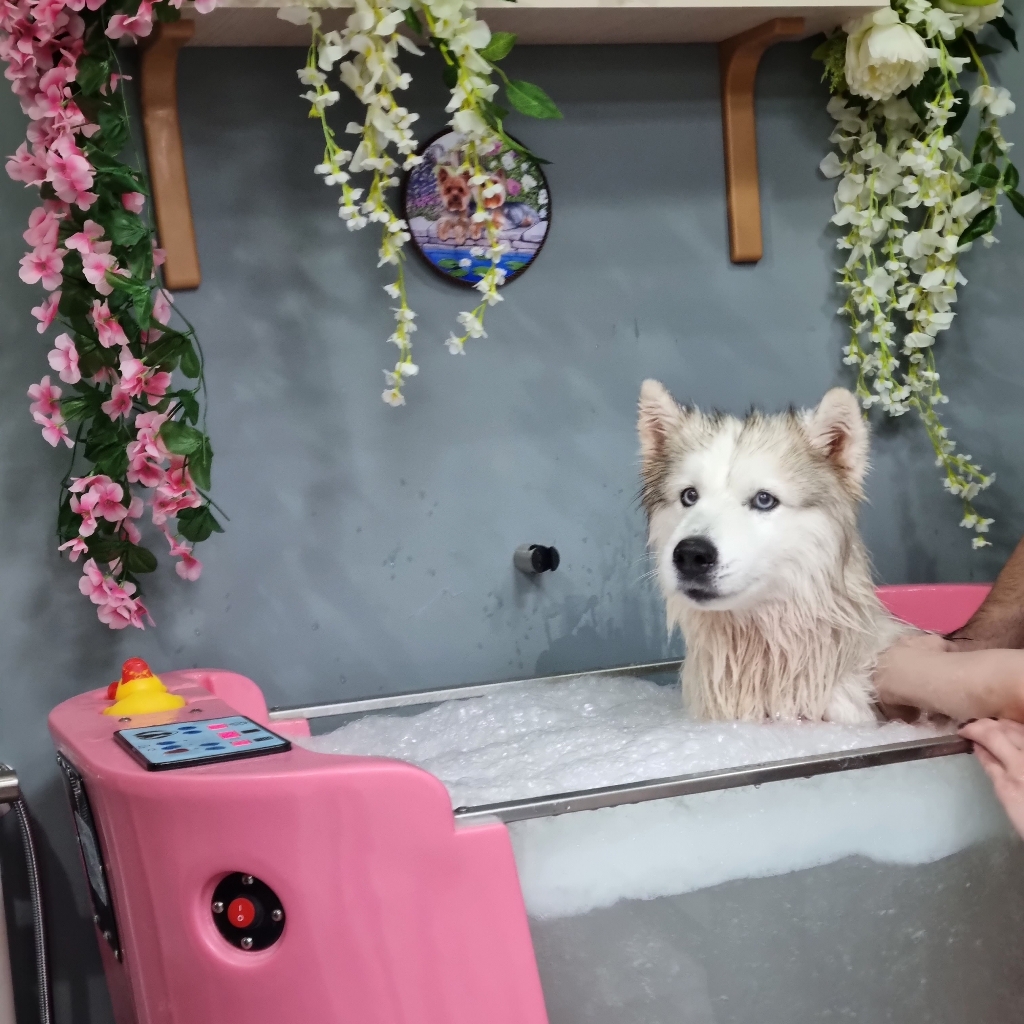 Озоновая ванна SPA