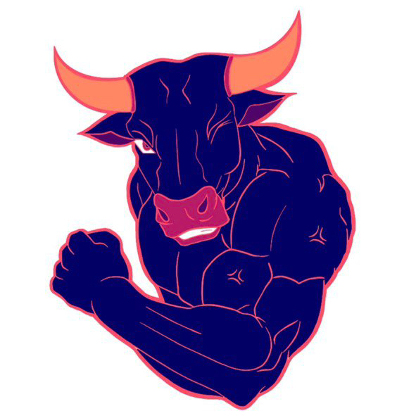 Индивидуальная тренировка