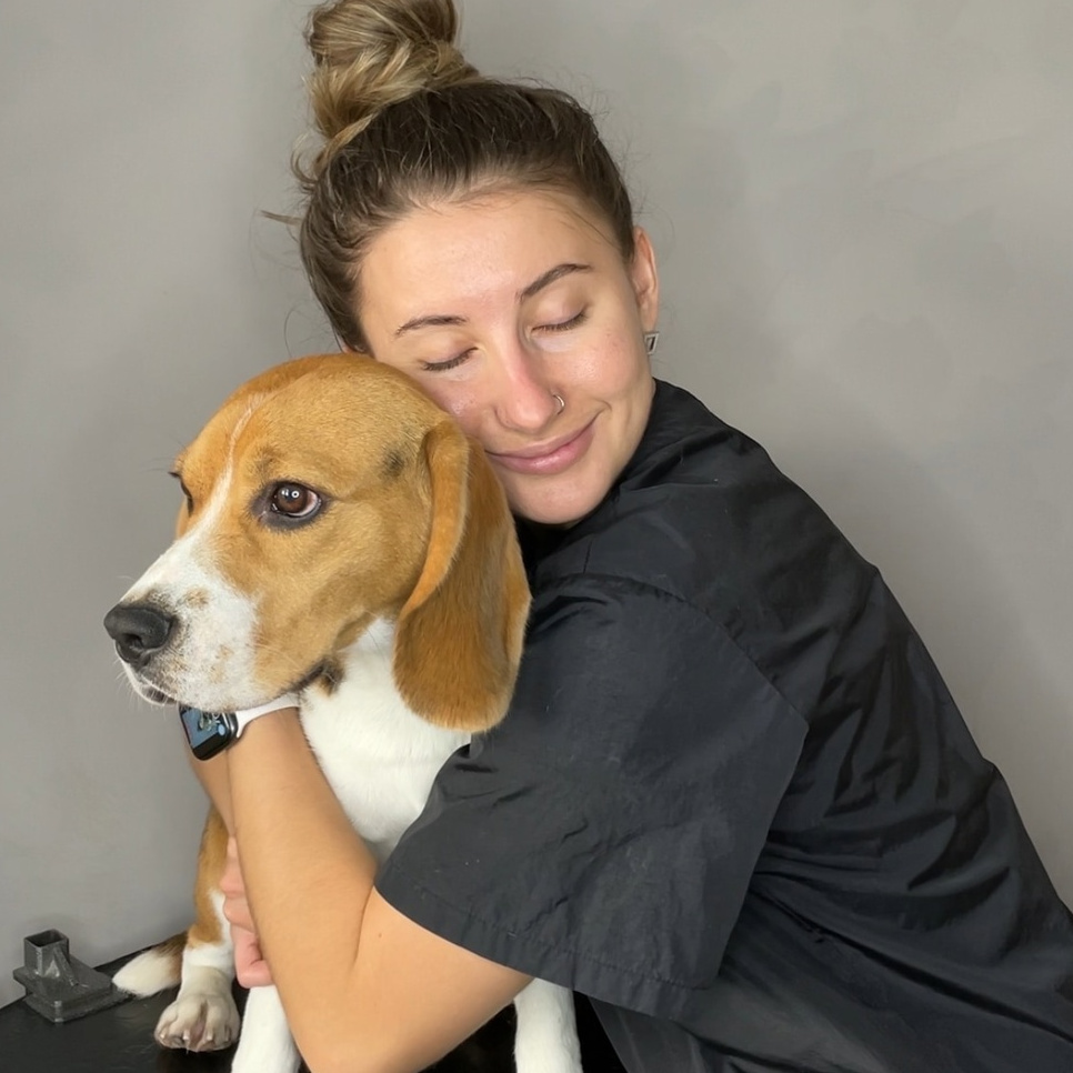 БИГЛЬ Вычёсывание с мытьем