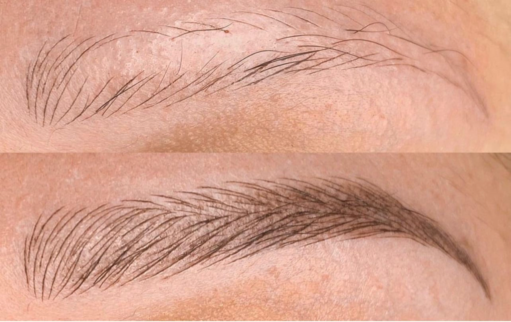 Волосковая техника Бровей