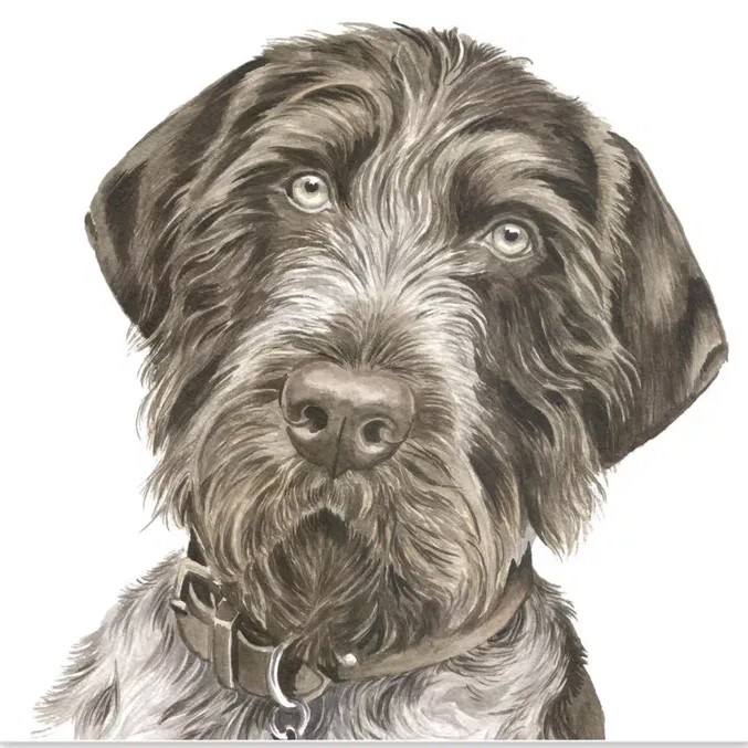 Комплексный уход дрх, крх.