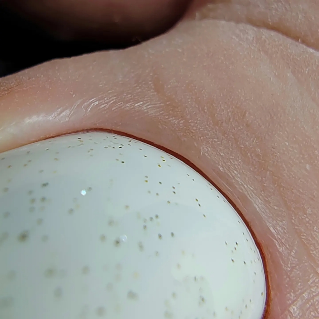 Педикюр пальчиков с покрытием гель лак