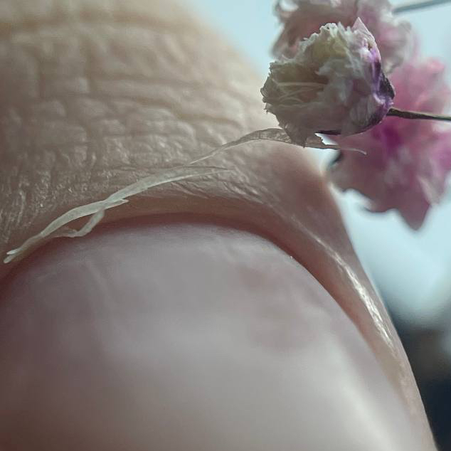 Маникюр гигиенический