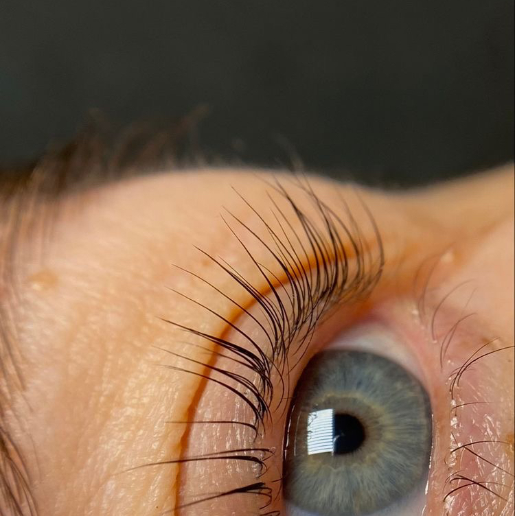 ламинирование ресниц с окрашиванием и  ботоксом
