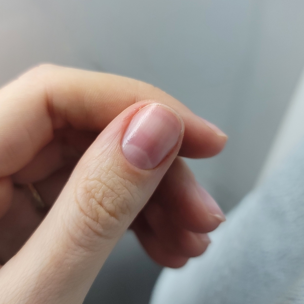 Regular manicure ( no polish )