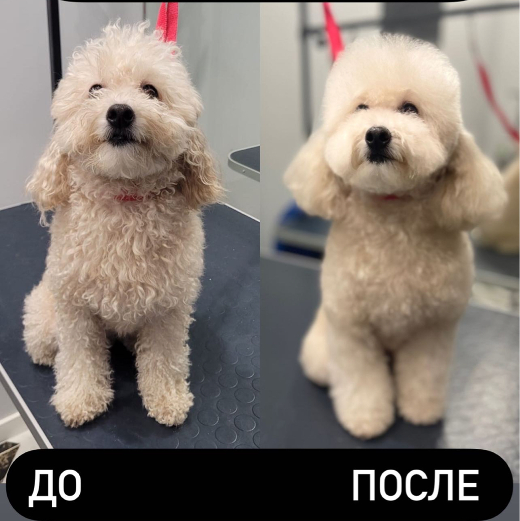 Мальтипу ( комплекс)