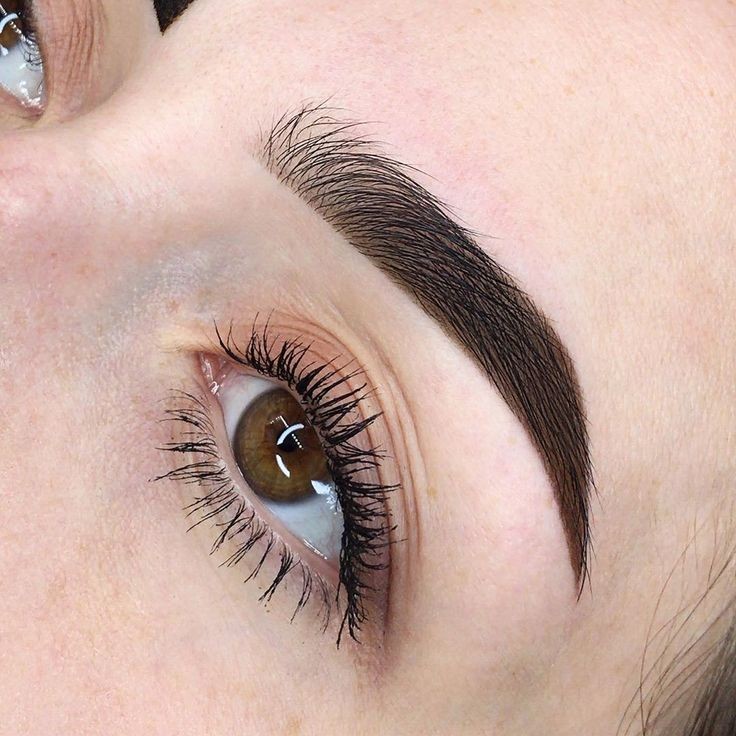 Оформление И Окрашивание Бровей Хной