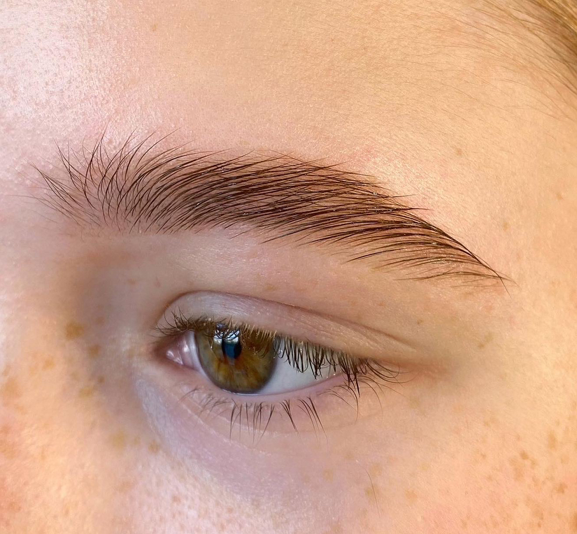 БРОВИ (только окрашивание)