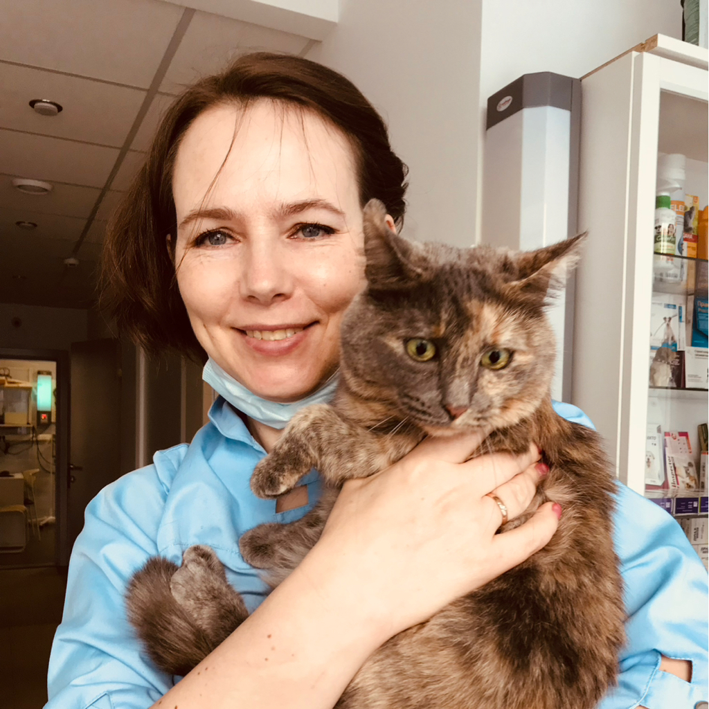 Повторный прием ветеринарного врача