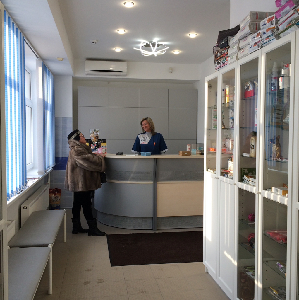 Консультация без животного