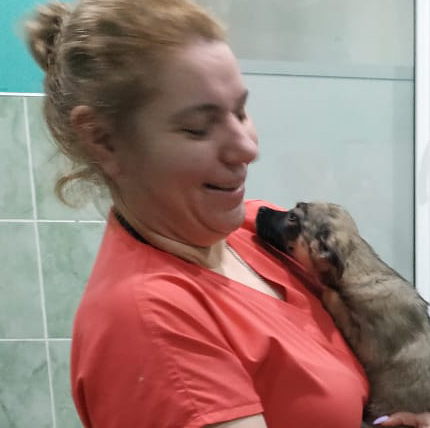 Прием ветеринарного врача