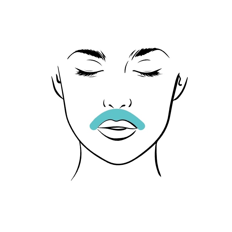 Верхняя губа (усики)