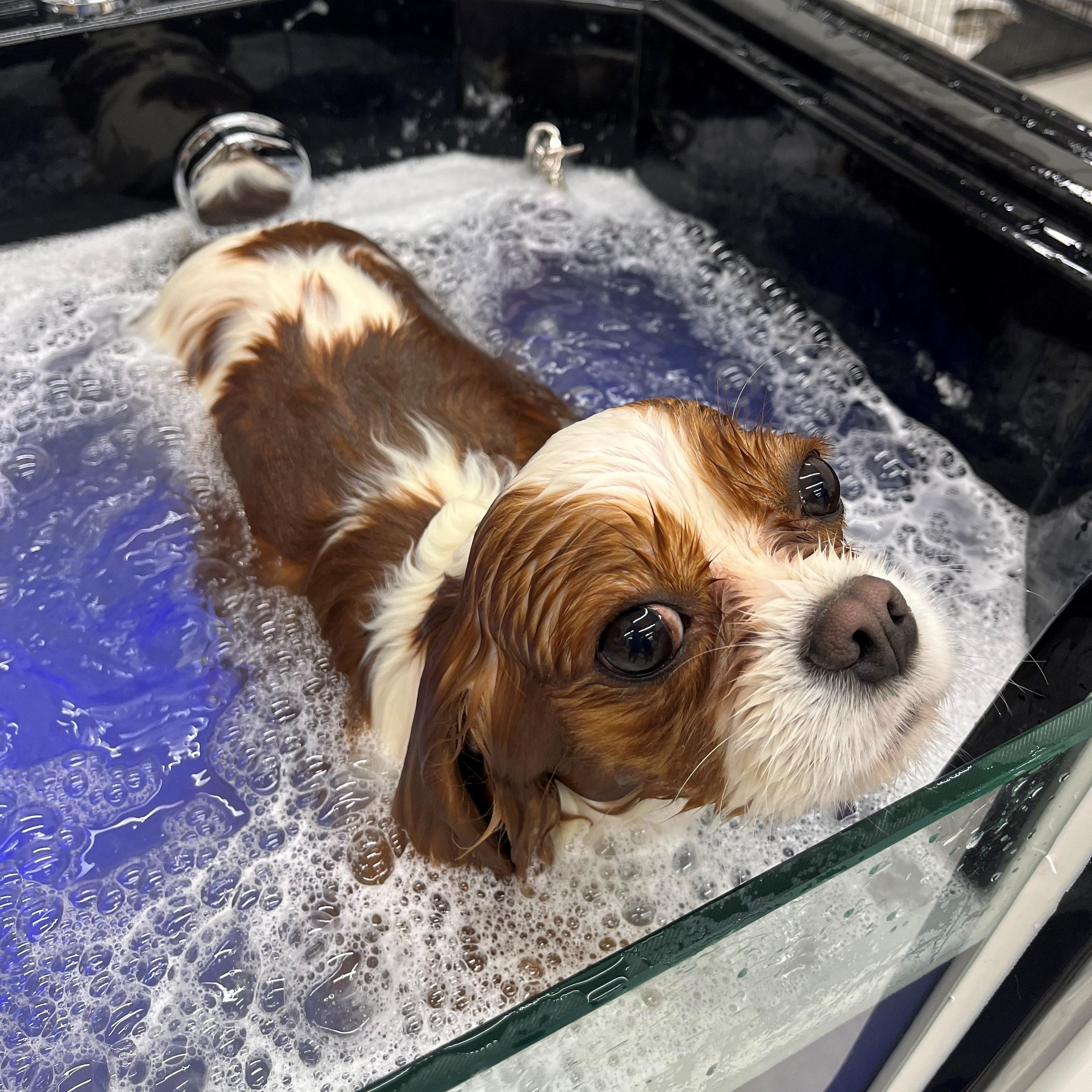 Озоновая ванна с джакузи