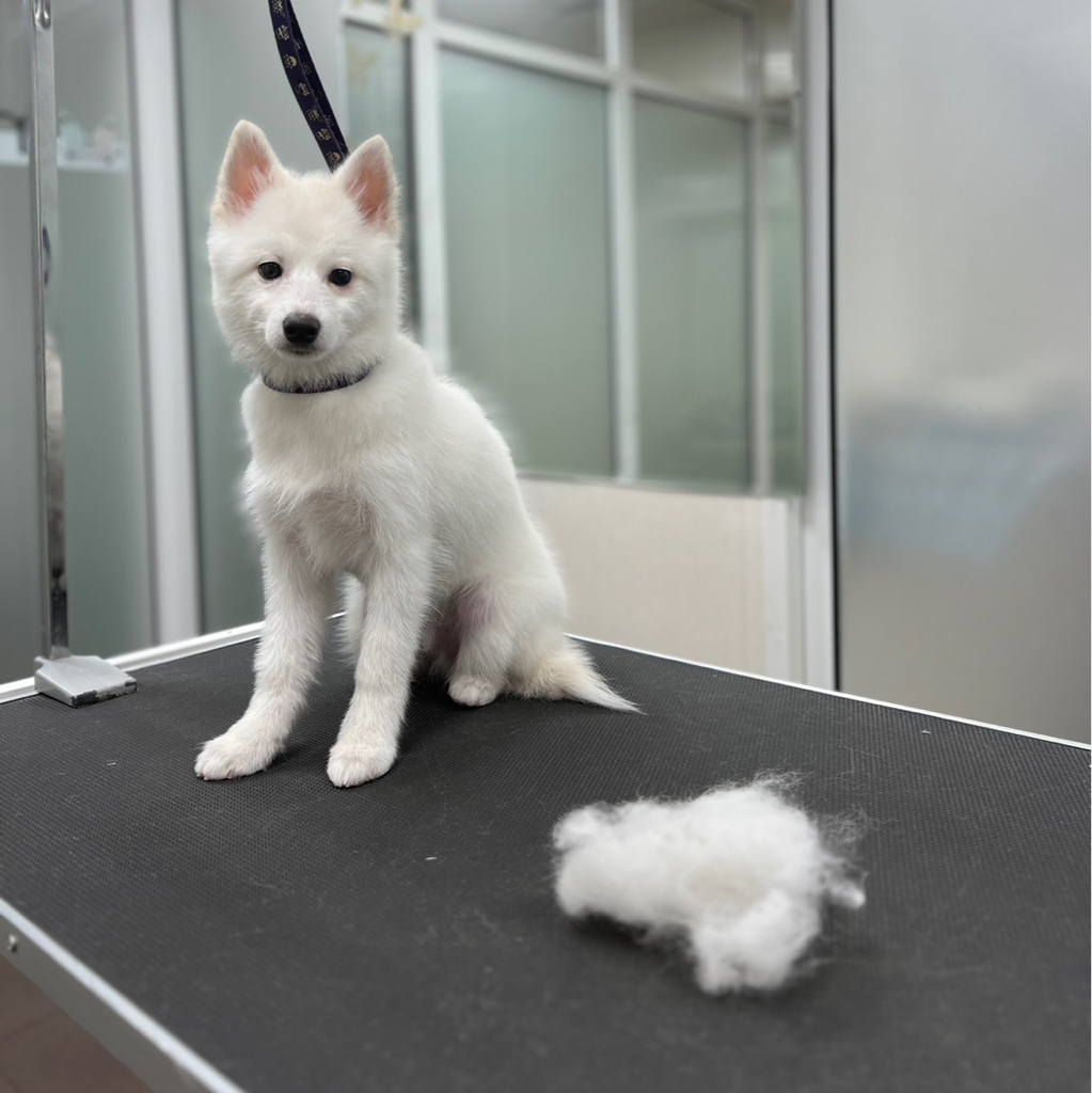 Помски комплекс Вычёсывание