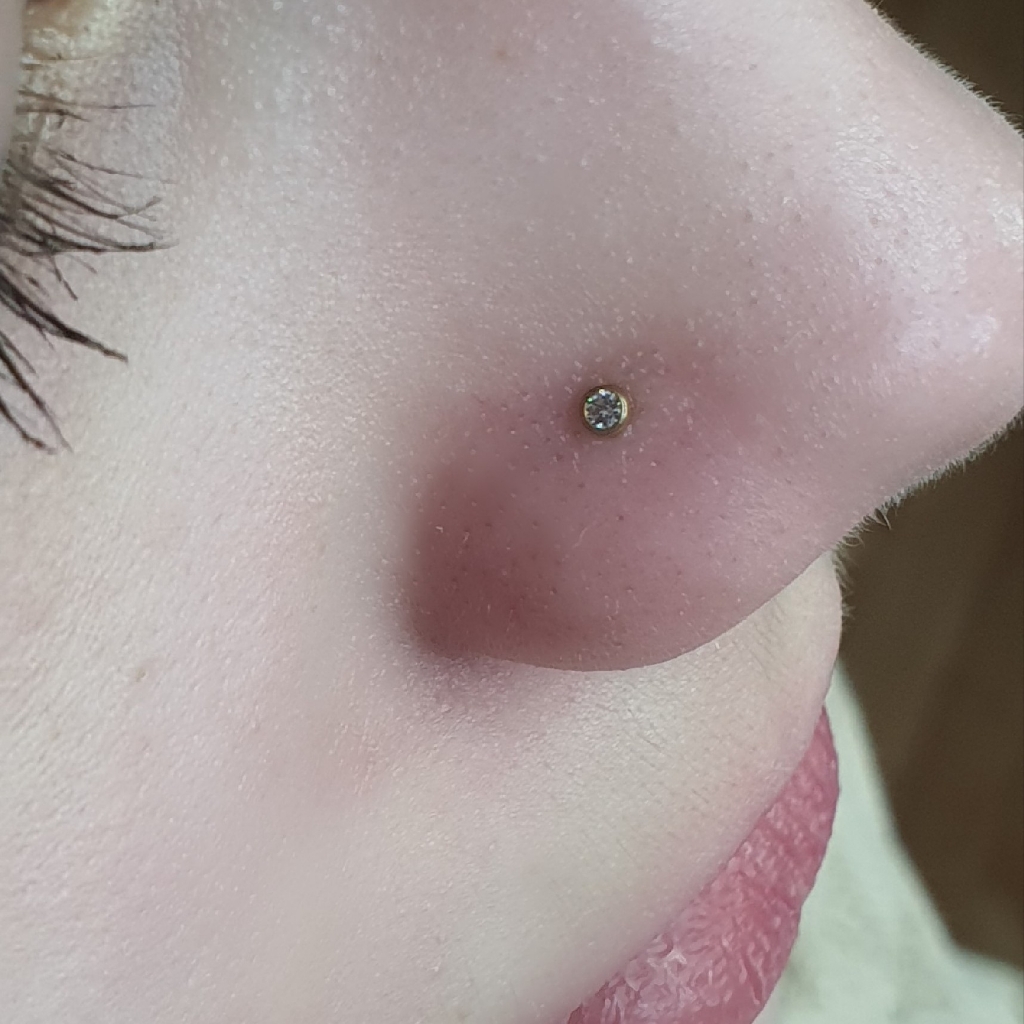 Пирсинг крыла носа
