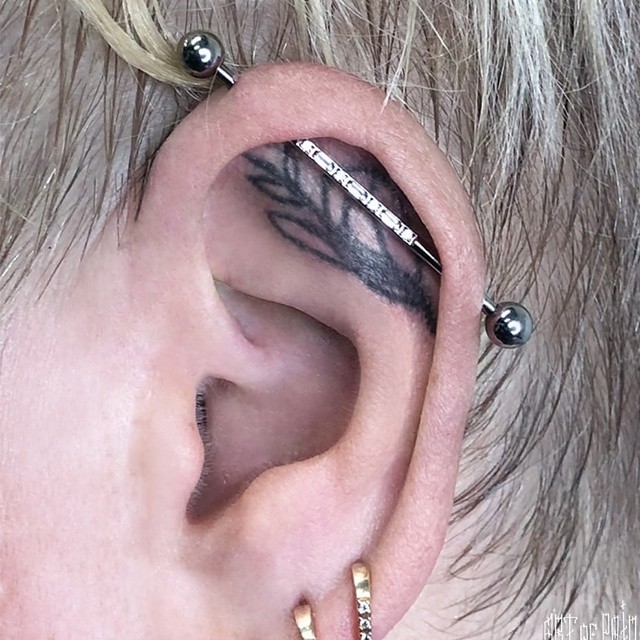 Пирсинг Индастриал