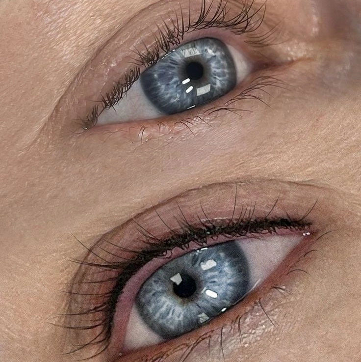 Перманент:МЕЖРЕСНИЧКА