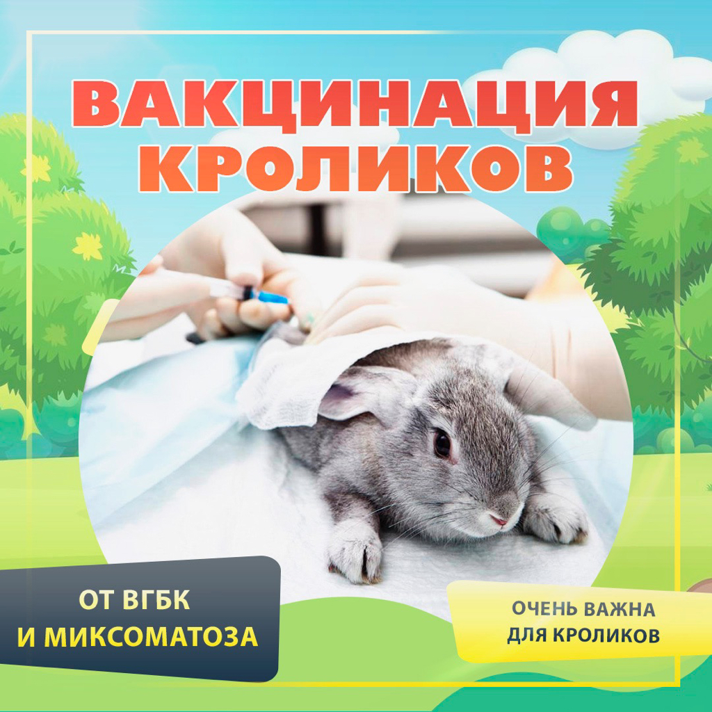 Запись на прививку