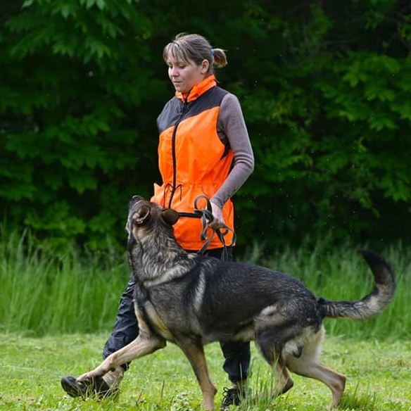 Хвалева Валерия
