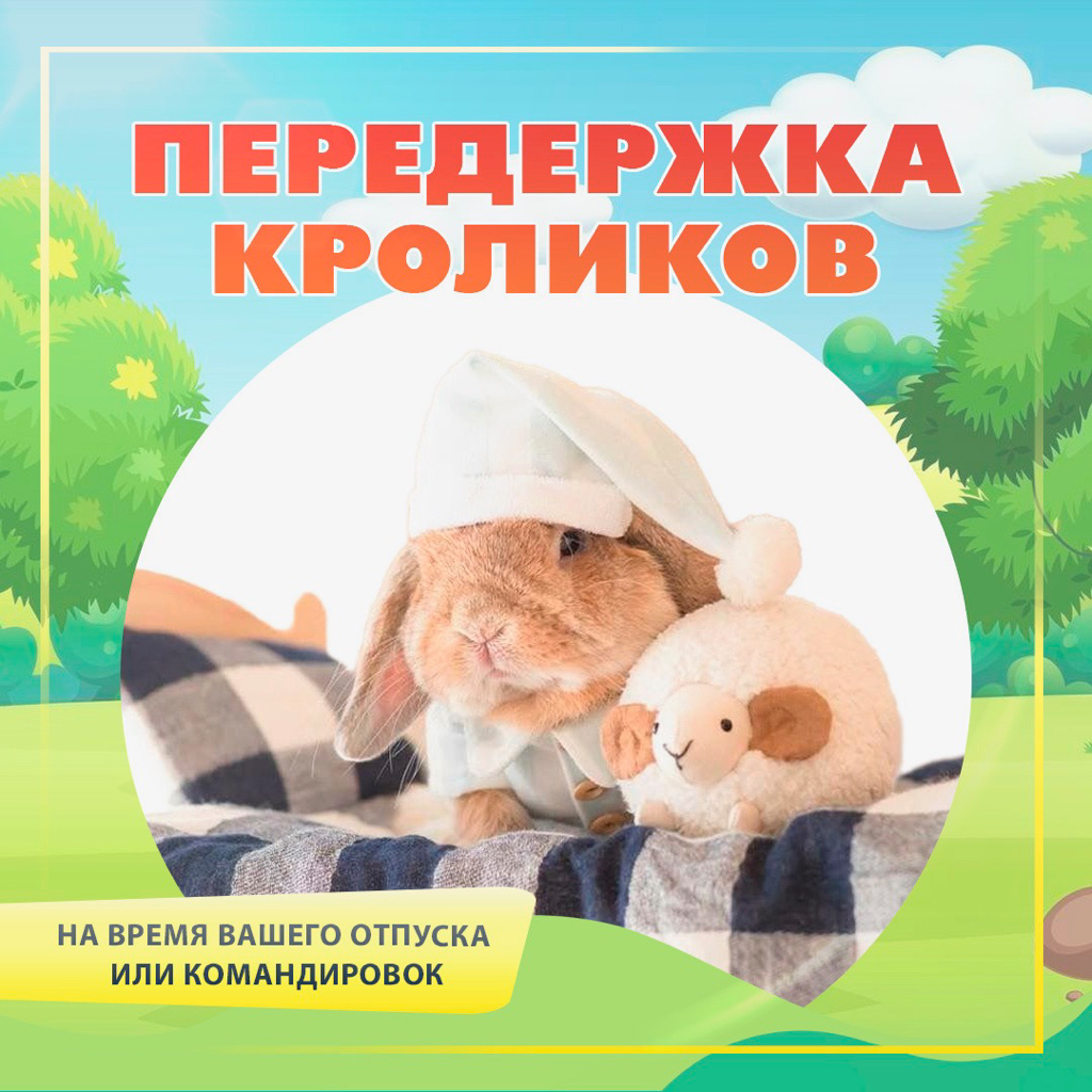 Запись на передержку
