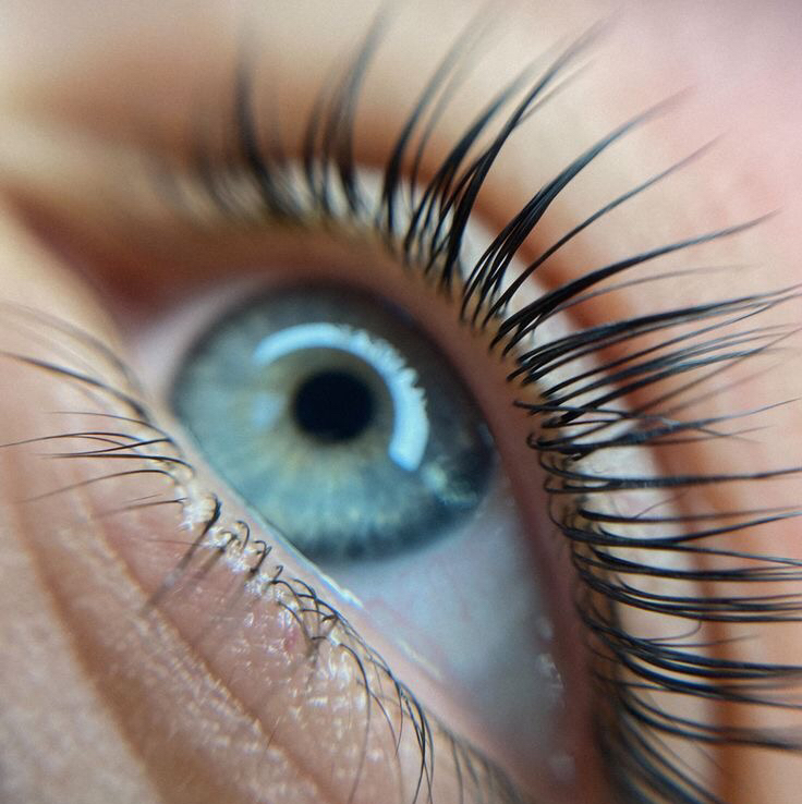 Ламинирование ресниц + Ботокс