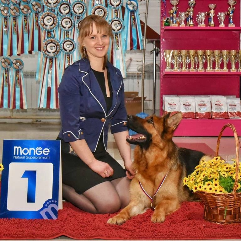 Хендлинг групп.