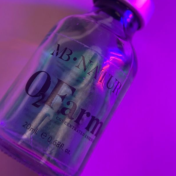 Оформление бровей+СЧАСТЬЕ