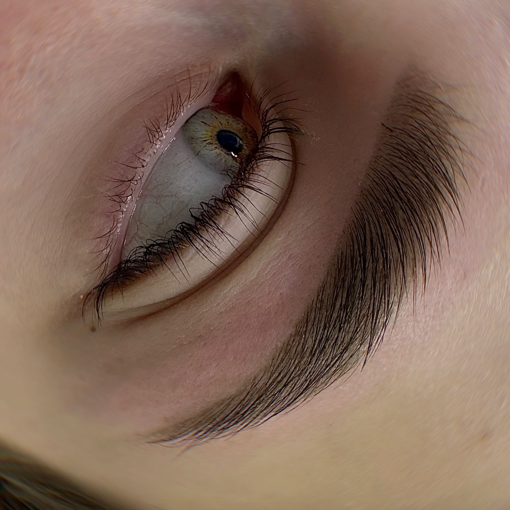 Архитектура бровей (моделирование+оформление+окрашивание краской)