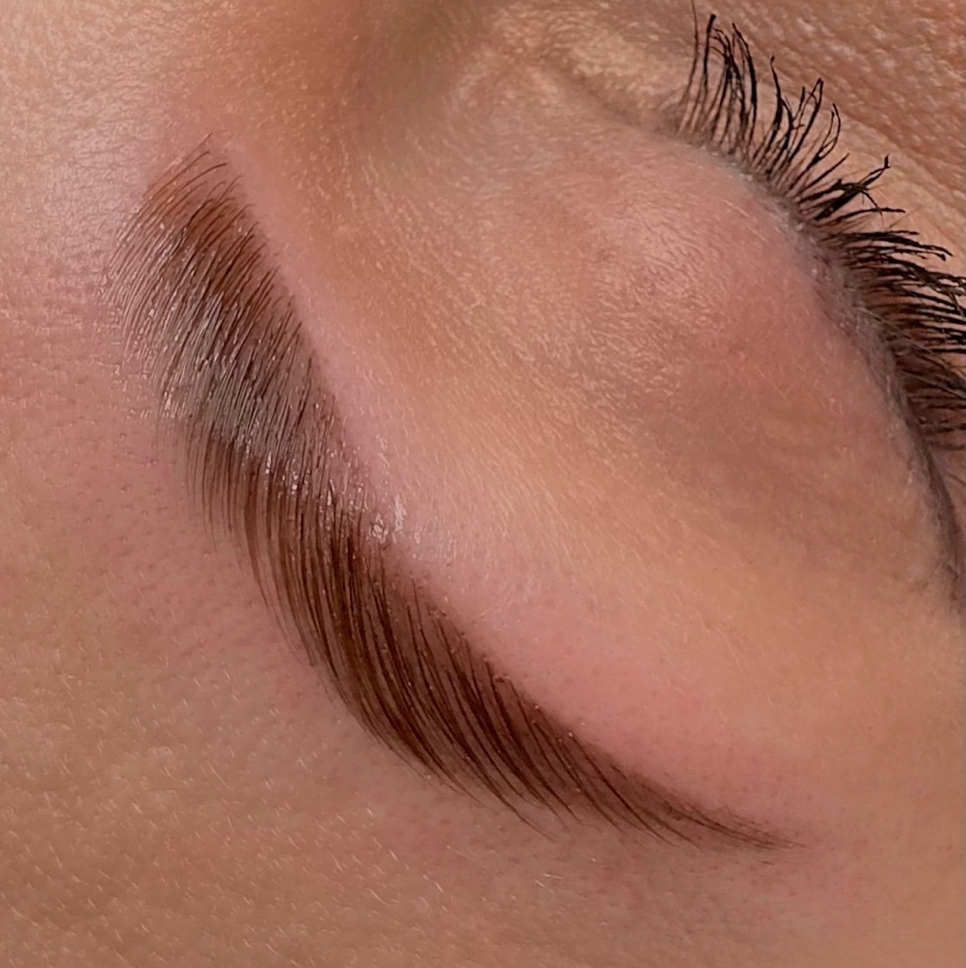 Ламинирование бровей (окрашивание+коррекция+уход)