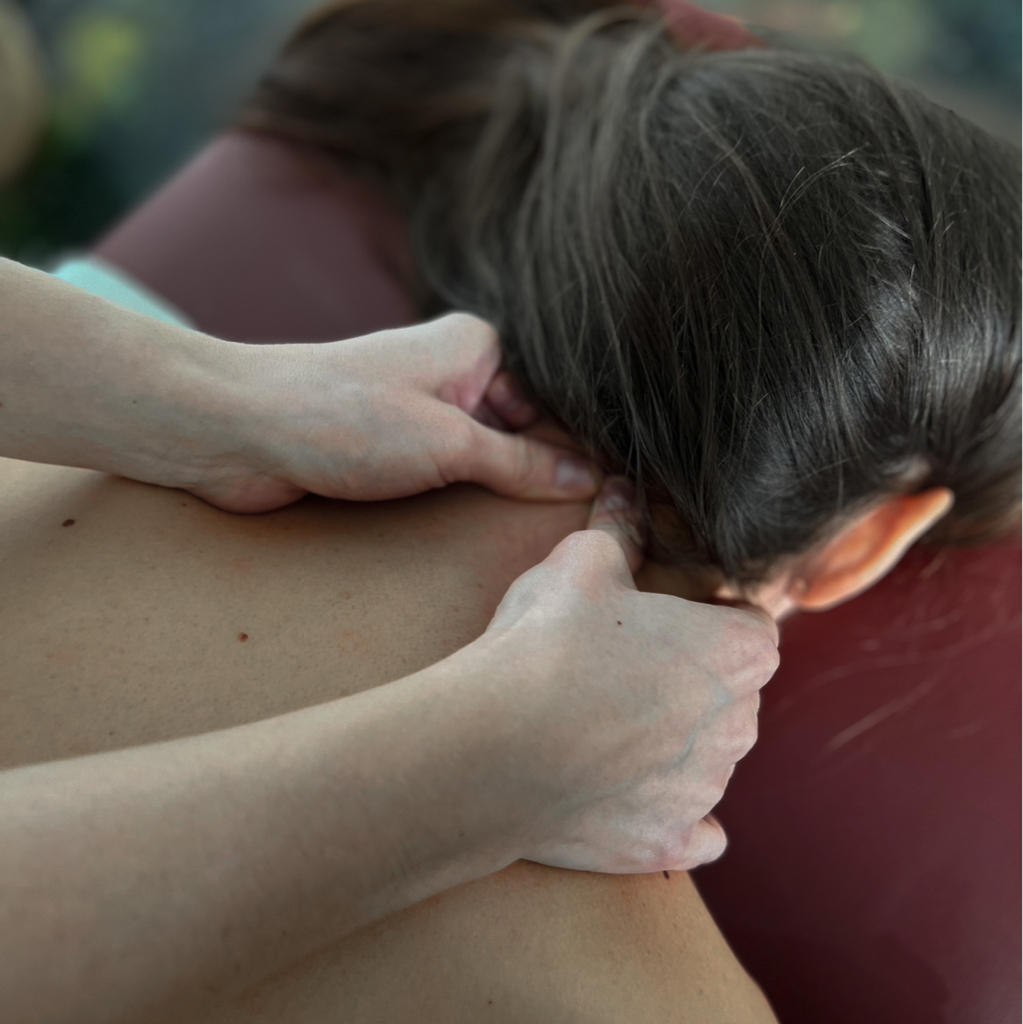 Шейно-воротниковая Зона