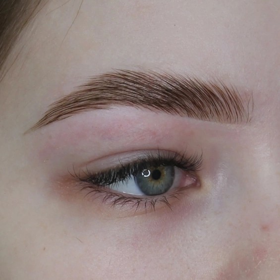 Архитектура бровей (воск/пинцет) + окрашивание краской