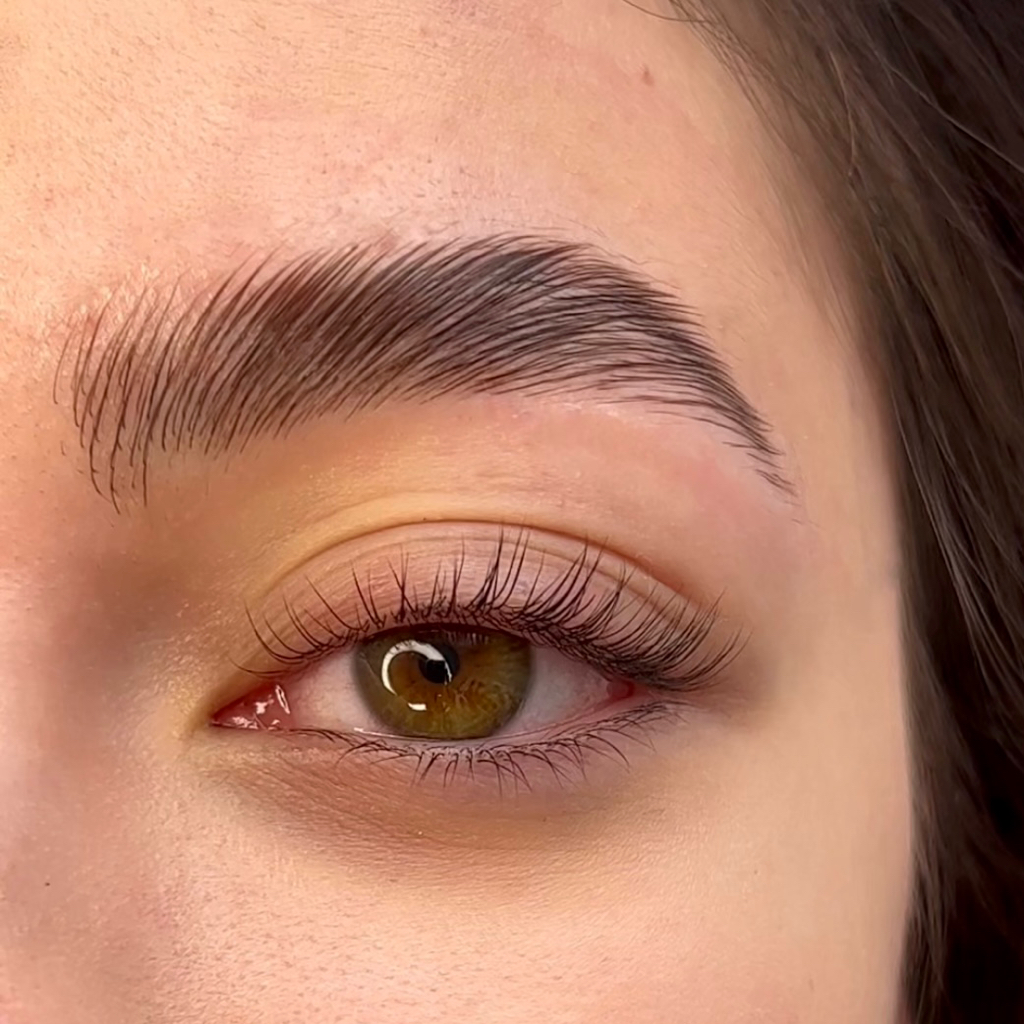 Ламинирование ресниц (с окрашиванием) + долговременная укладка бровей (без окрашивания)