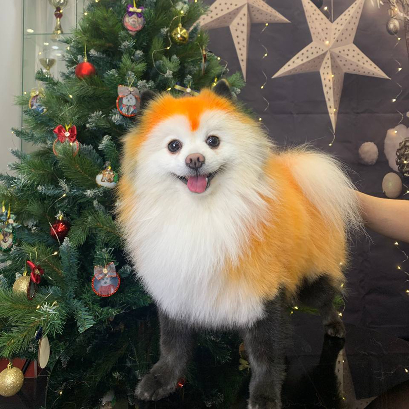 Креативное окрашивание