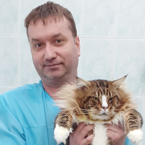 Золотухин Андрей Сергеевич