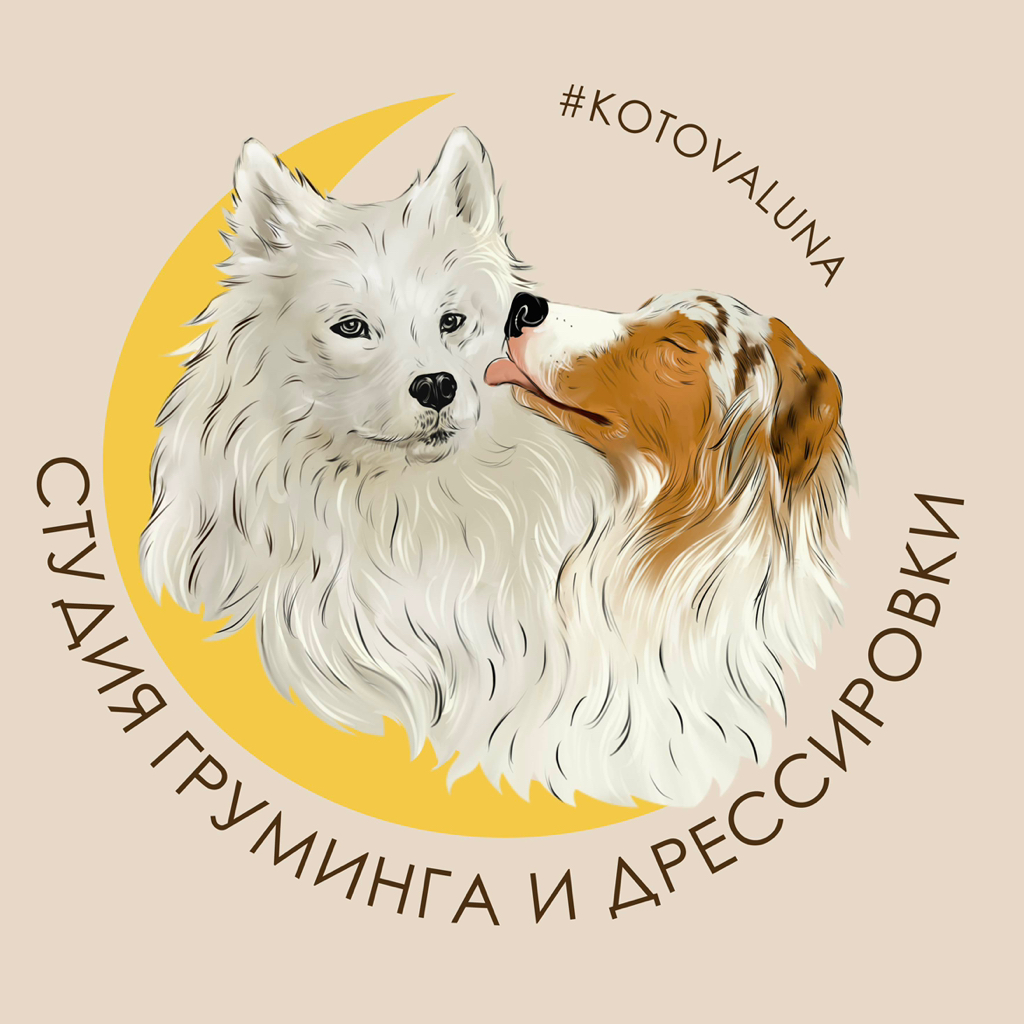 студия груминга и дрессировки #KotovaLuna