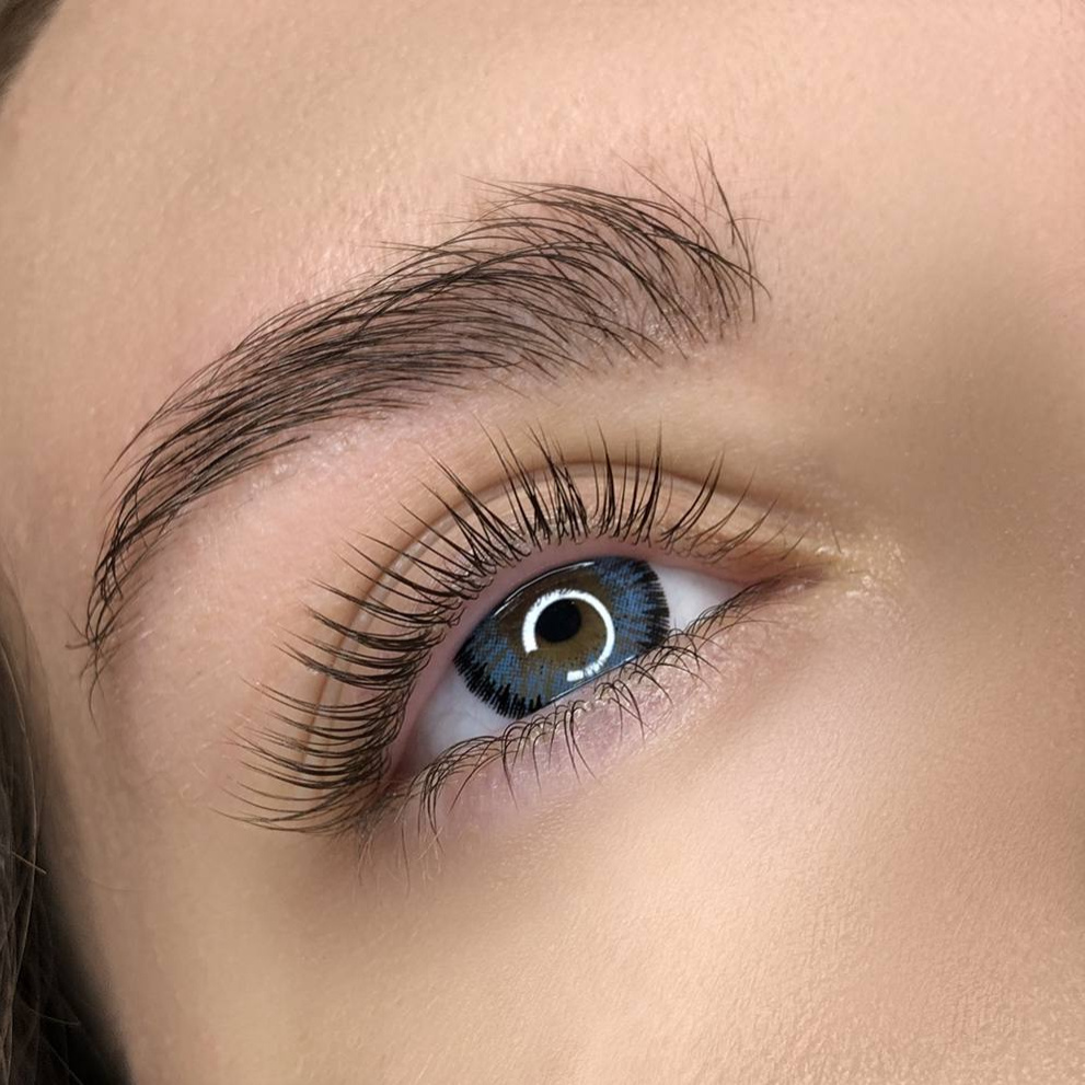 Индивидуальный курс повышения квалификации «BROWS PRO»