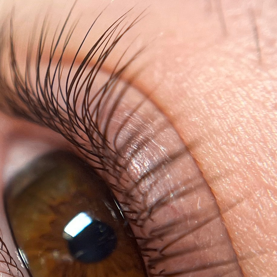 Окрашивание верхних и нижних ресниц