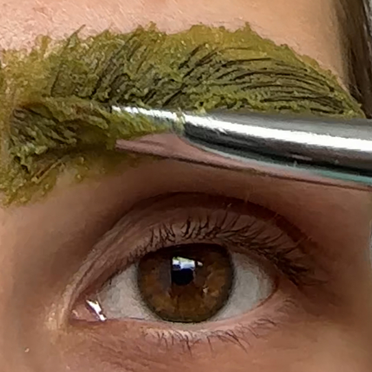 Organic brow комплекс