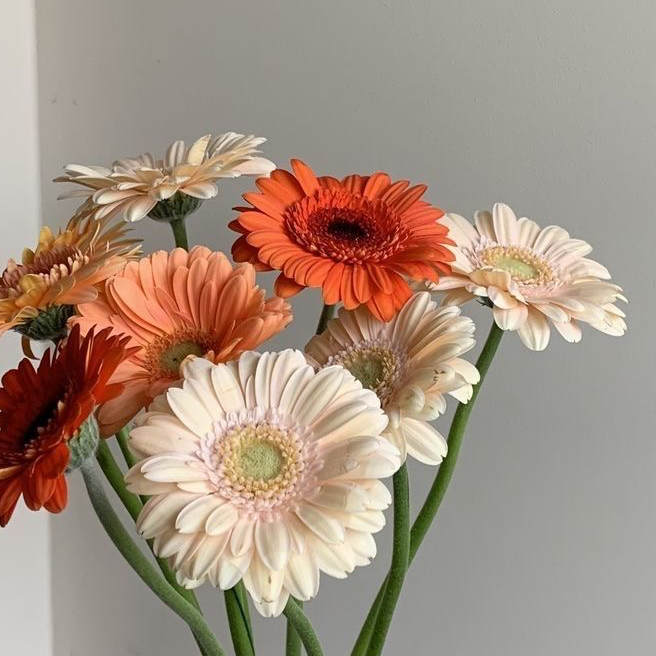 Коррекция наращивания