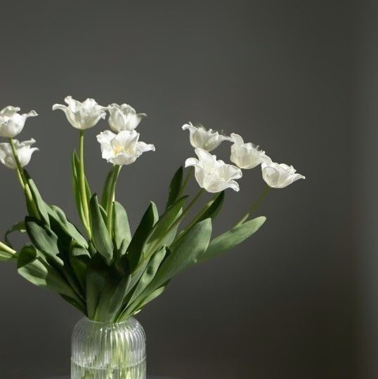 Френч/лунки (все ногти)