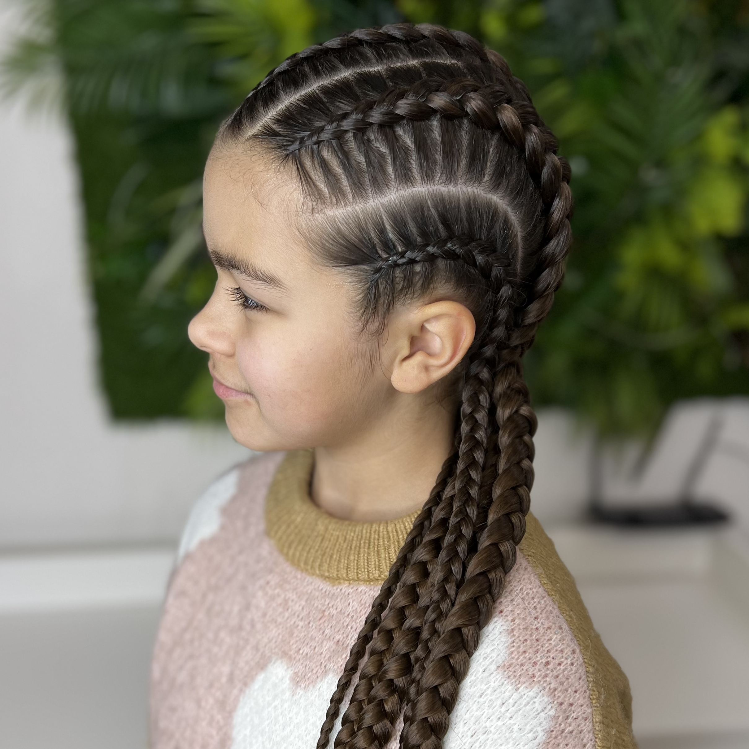 Брейды без канекалона