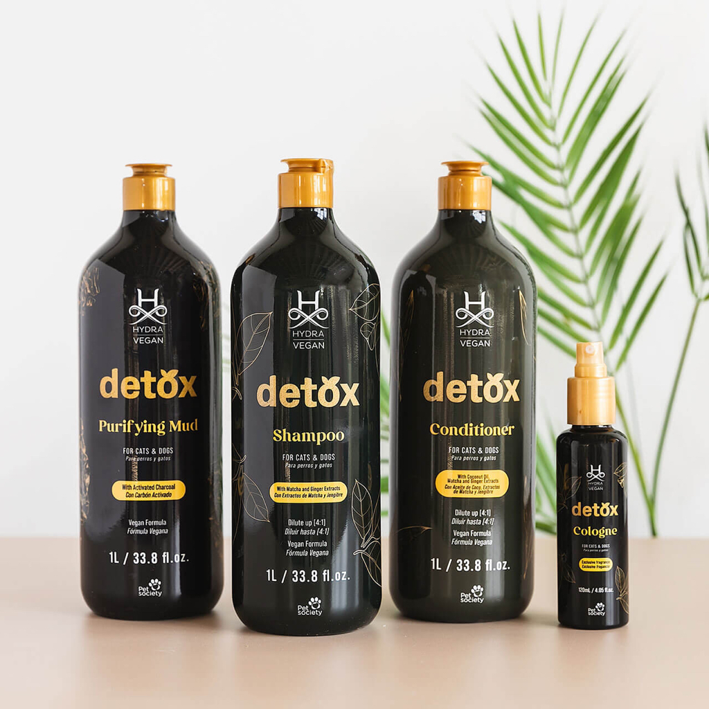 SPA-комплекс Detox