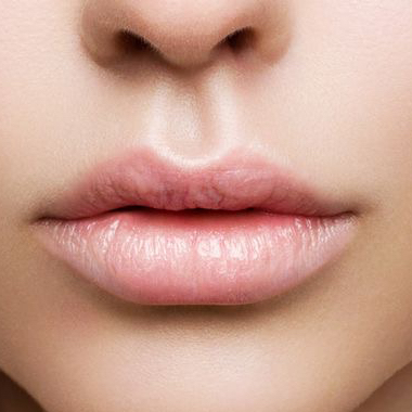 Верхняя губа (усики)