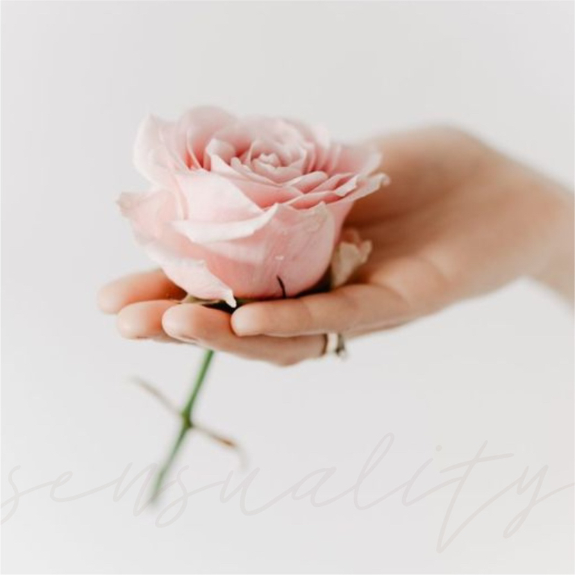 SPA комплекс 