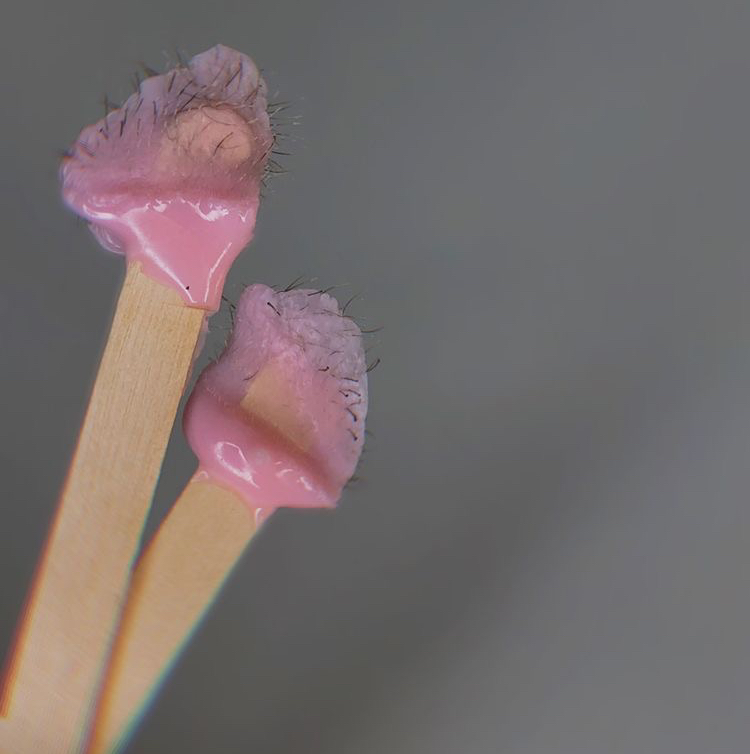 Зона в носу