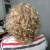 Тонирование волос Lebel (в зависимости от длины)