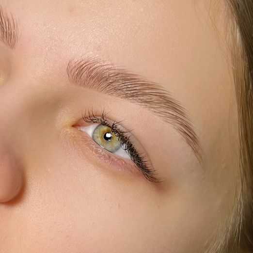 Долговременная укладка бровей ( подготовка кожи, окрашивание краской, коррекция воск/пинцет, укладка бровей )